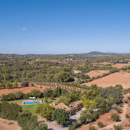 -2924 Mallorca *
